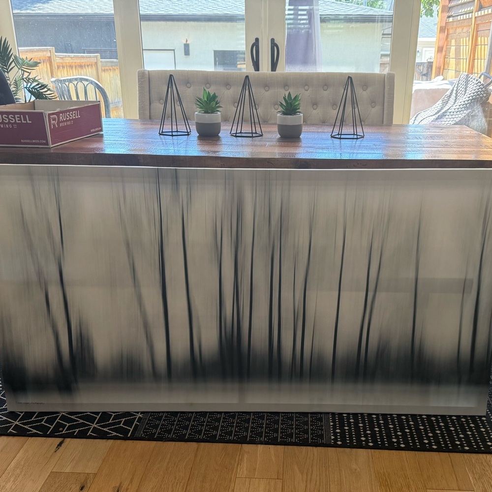 Canvas Art - Abstract Black and White Forest
